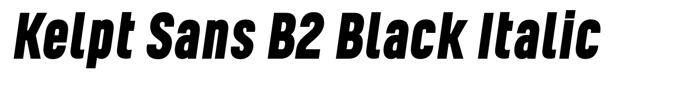 Kelpt Sans B2 Black Italic